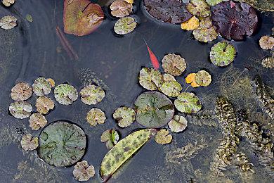 改编就是乱编 《行尸走肉：命运》爆改电视剧情节